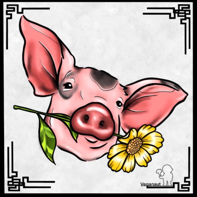 Ein gezeichnetes Schwein mit einer Blume im Mund vor einem dekorativen Hintergrund.